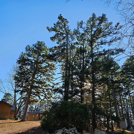 5 Min To Beaver Lake-King Bed-Fire Pit-Jetted Tub #4 Eureka Springs Esterno foto