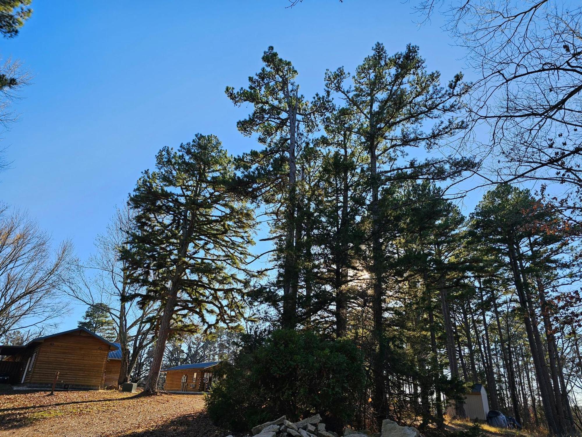 5 Min To Beaver Lake-King Bed-Fire Pit-Jetted Tub #4 Eureka Springs Esterno foto