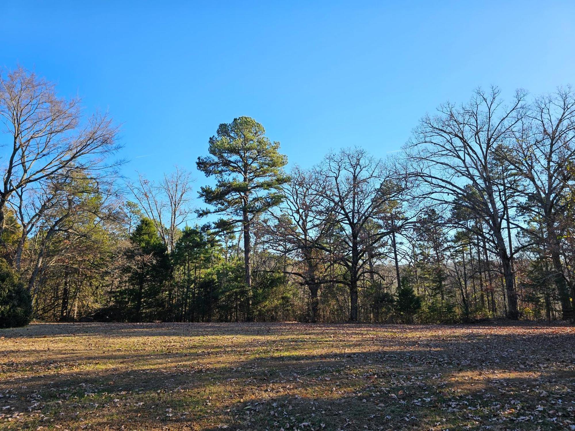 5 Min To Beaver Lake-King Bed-Fire Pit-Jetted Tub #4 Eureka Springs Esterno foto